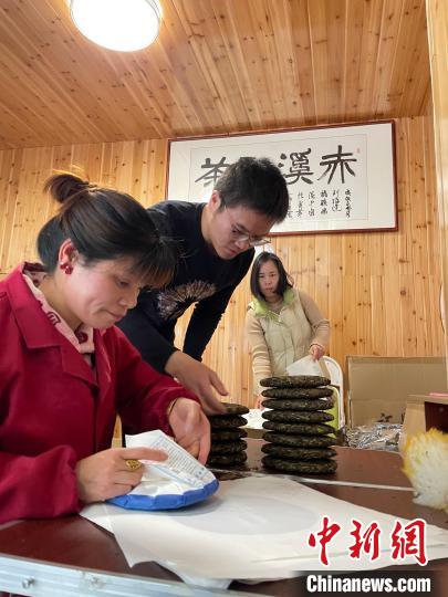 資料圖：杜贏(左二)在整理白茶餅?！×执阂?攝